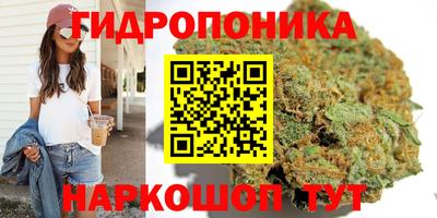молекула духа Ефремов