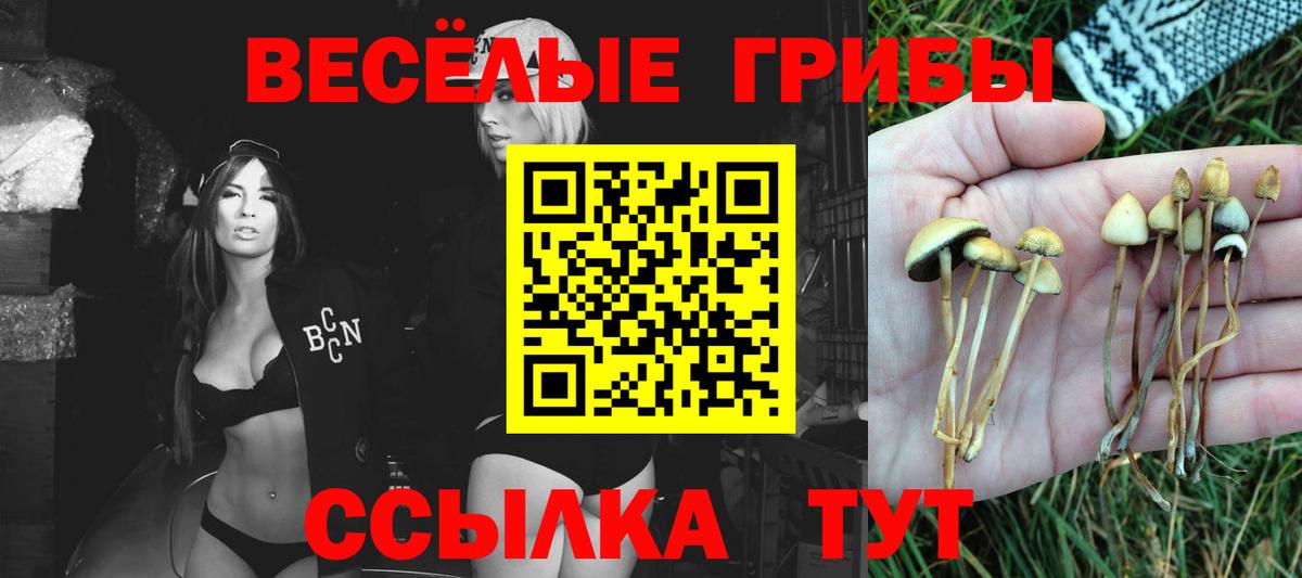 Псилоцибиновые грибы мухоморы Мурманск